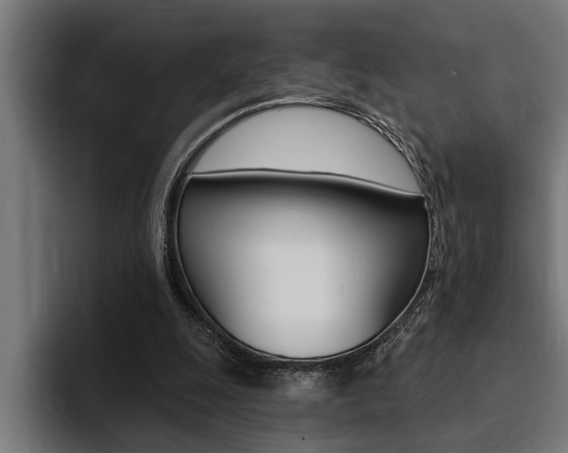 X0000094420247200711081004