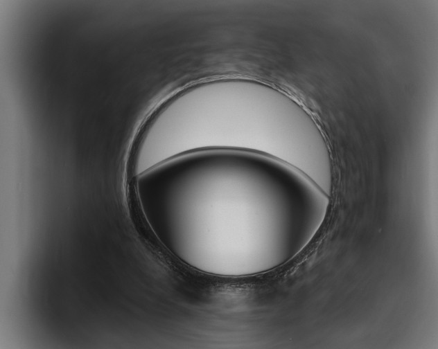X0000094420248200711081004