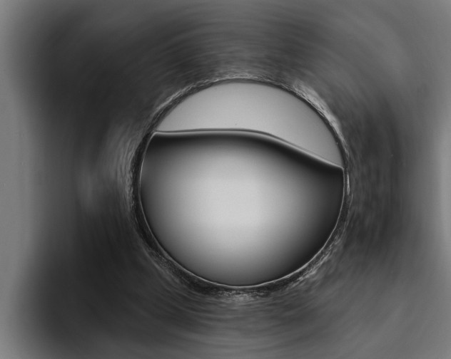 X0000094420249200711081004