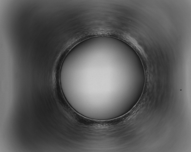 X0000094420250200711081004