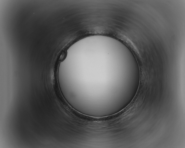 X0000094420251200711081004