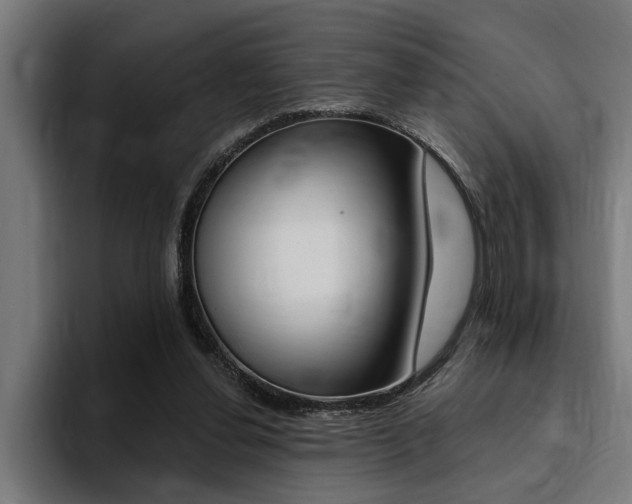 X0000094420252200711081004