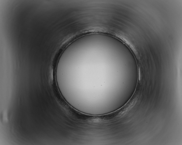 X0000094420253200711081004