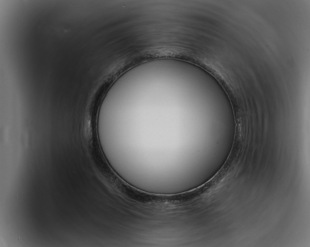 X0000094420254200711081004