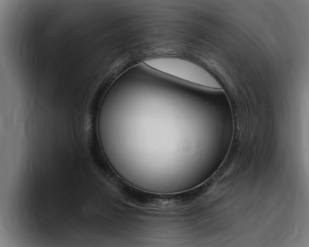X0000094420260200711081004