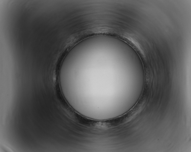 X0000094420261200711081004