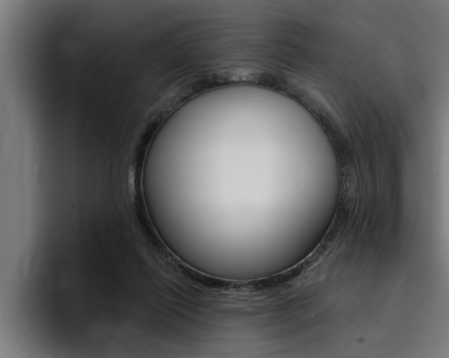 X0000094420262200711081004