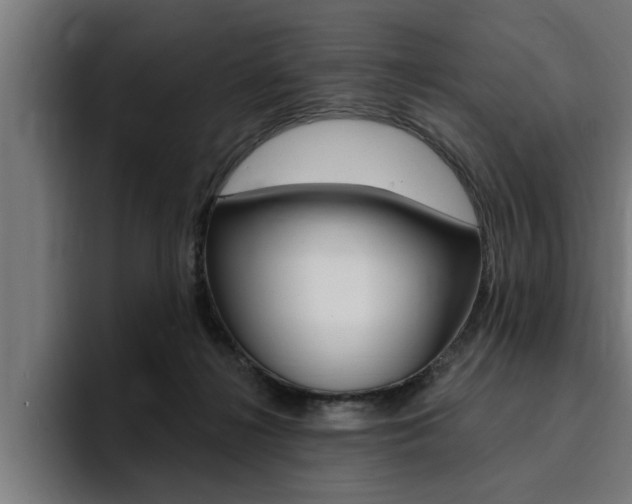 X0000094420268200711081005