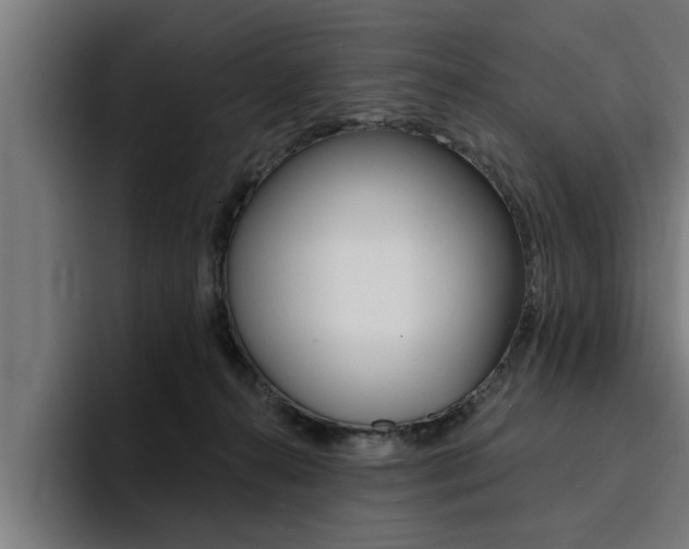 X0000094420272200711081005