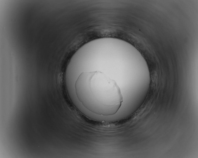 X0000094420278200711081005