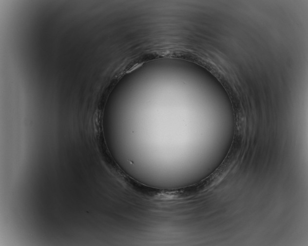 X0000094420280200711081005