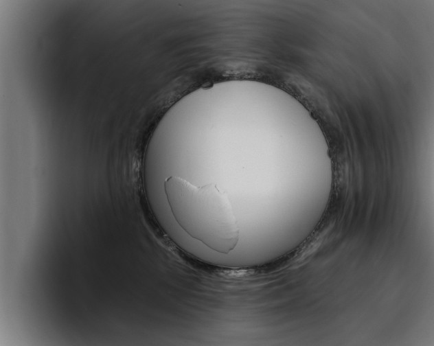 X0000094420281200711081005