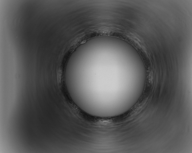 X0000094420283200711081005