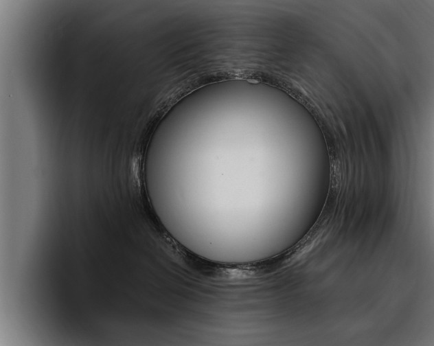 X0000094420286200711081005