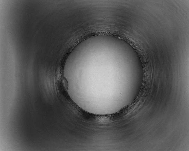 X0000094420287200711081005