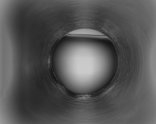 X0000094420288200711081005