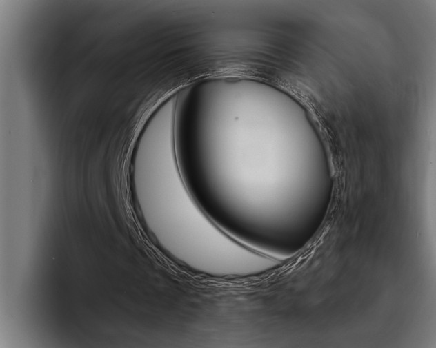 X0000094420289200711081004
