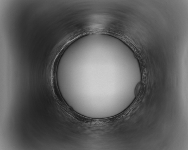 X0000094420290200711081004