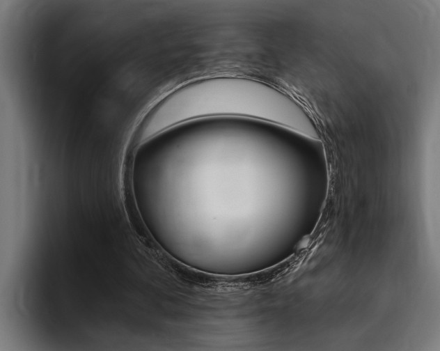 X0000094420292200711081004