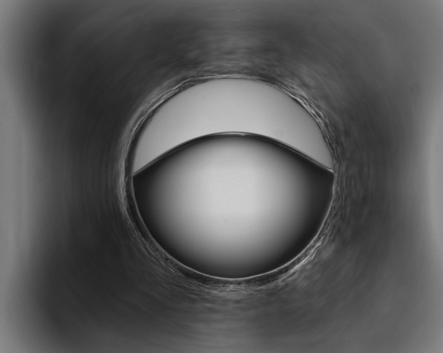 X0000094420293200711081004