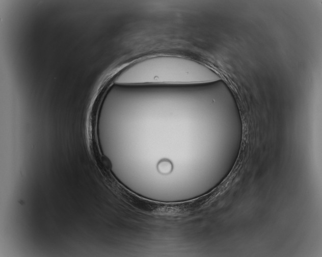 X0000094420294200711081004