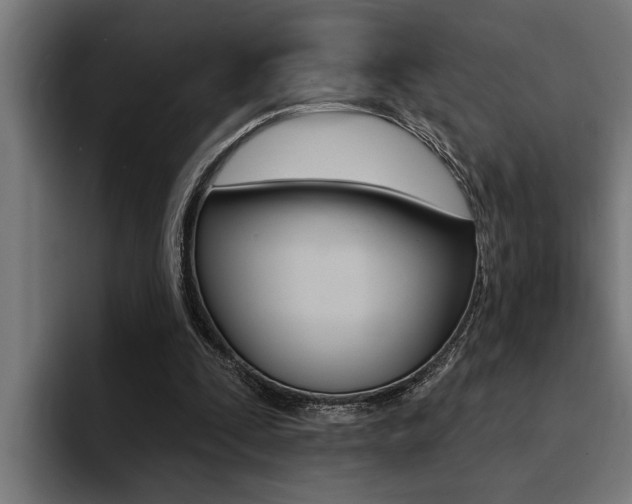 X0000094420295200711081004