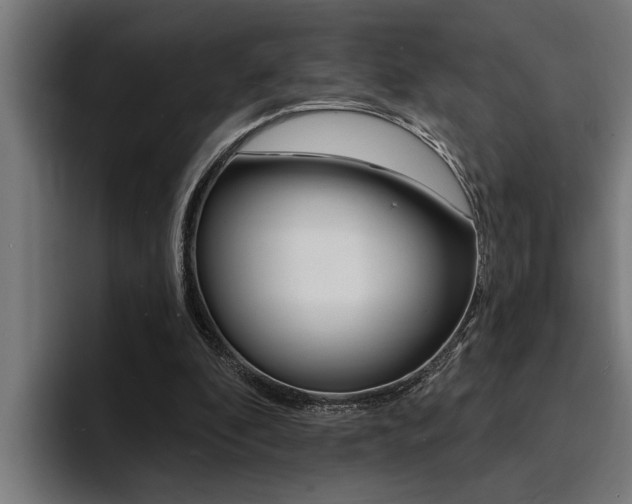 X0000094420296200711081004