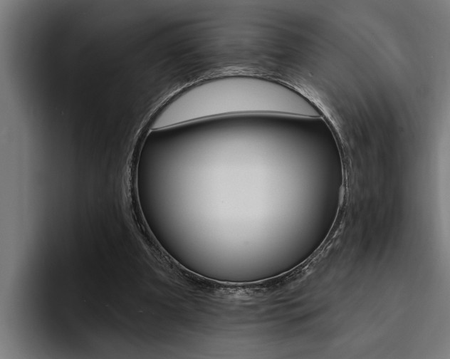 X0000094420297200711081004