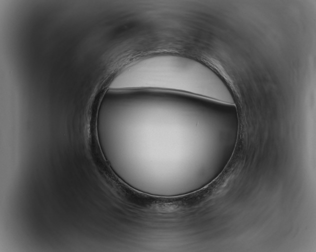 X0000094420299200711081004
