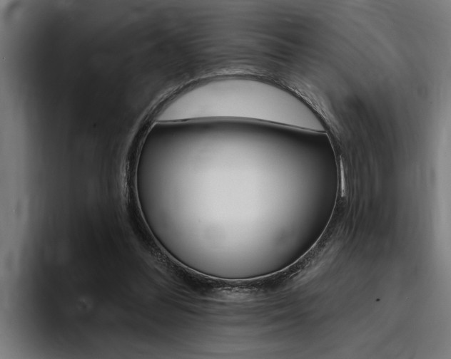 X0000094420300200711081004
