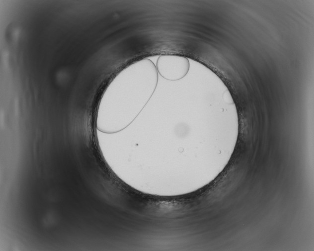 X0000094420302200711081004