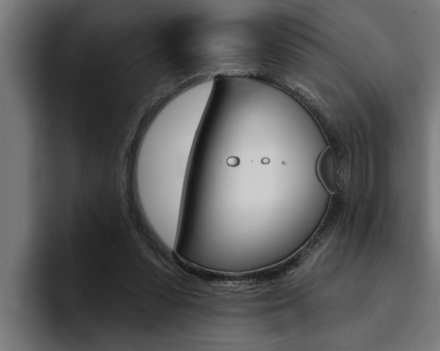 X0000094420303200711081004
