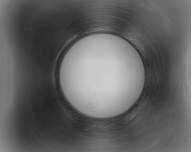 X0000094420304200711081004