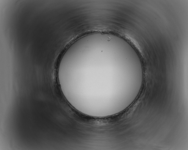 X0000094420305200711081004