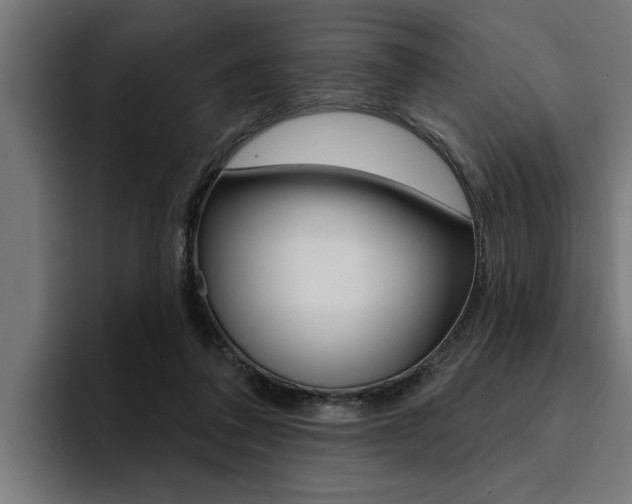 X0000094420308200711081004