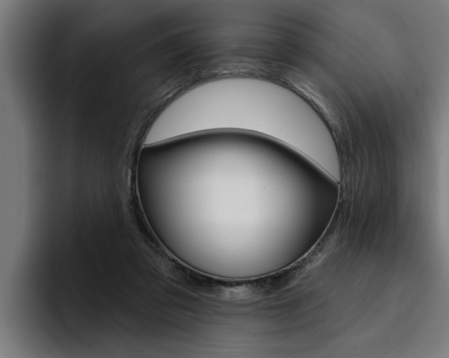 X0000094420309200711081004