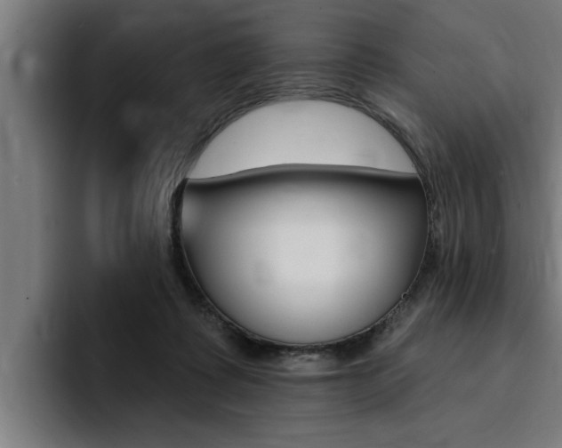 X0000094420315200711081004