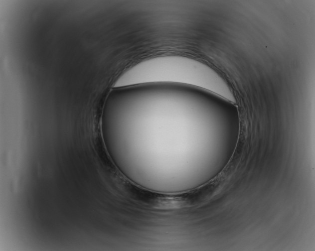 X0000094420316200711081004