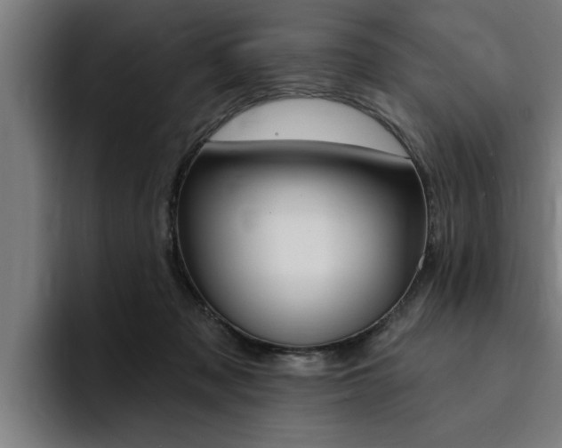 X0000094420317200711081004