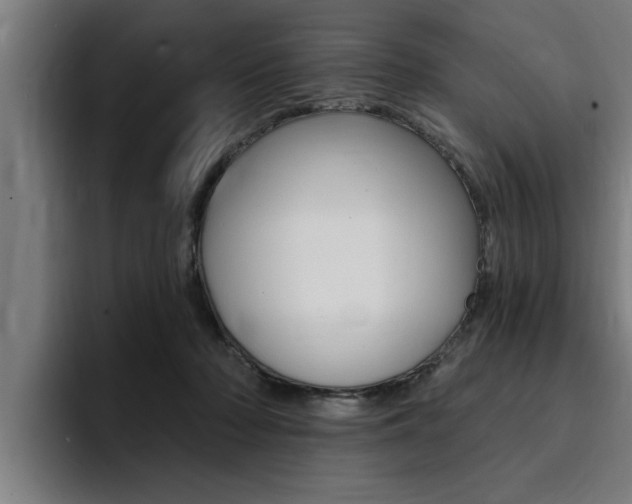 X0000094420318200711081004