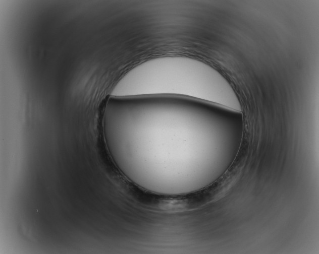 X0000094420319200711081004
