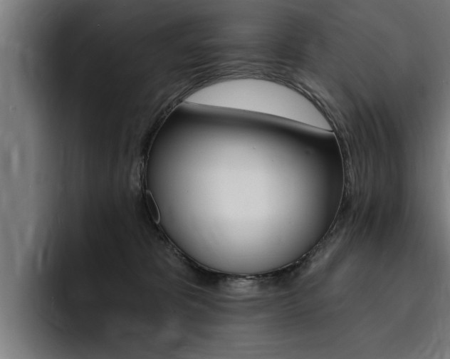 X0000094420325200711081004