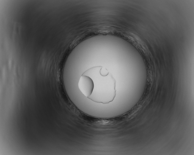 X0000094420326200711081004