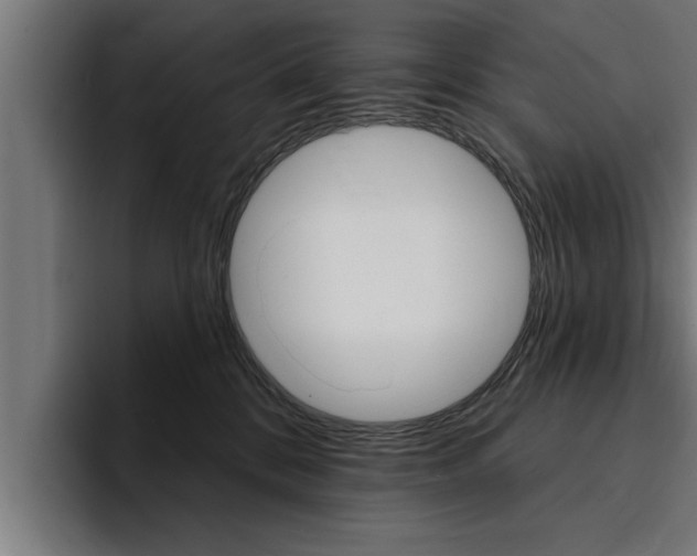 X0000094420328200711081004