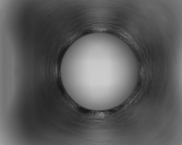 X0000094420330200711081004