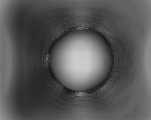 X0000094420336200711081004