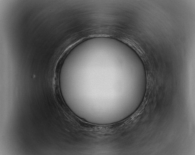 X0000094420338200711081003