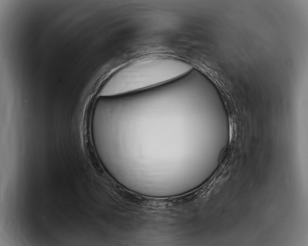 X0000094420339200711081003
