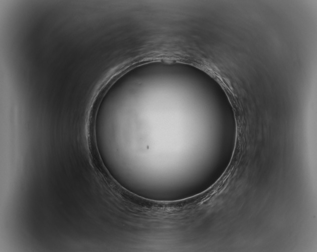 X0000094420340200711081003