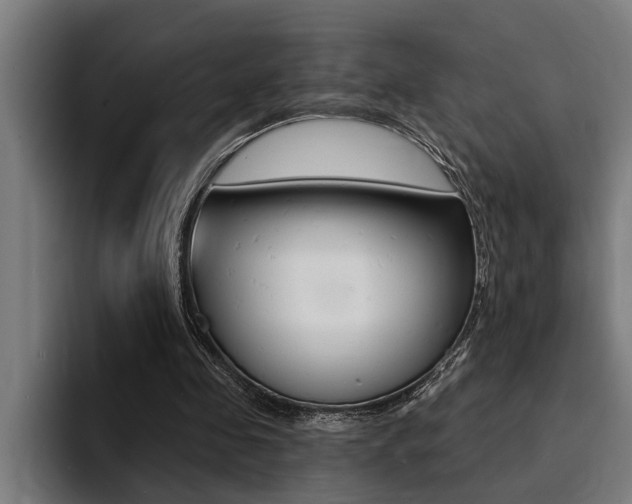X0000094420341200711081003